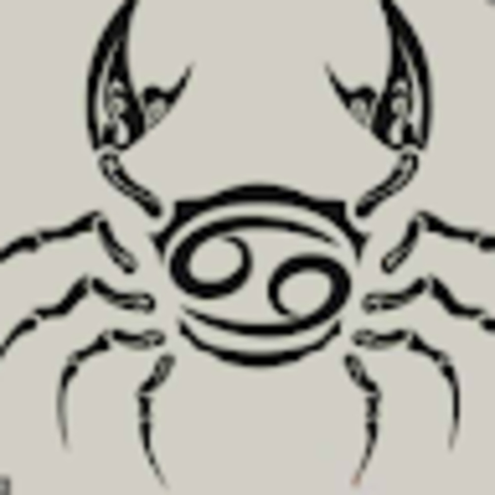 Meet your Posher, Max